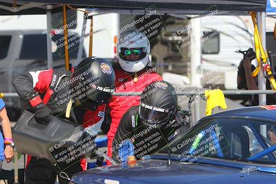 media/Oct-14-2023-Lucky Dog Racing (Sat) [[cef75db616]]/1st to 2nd Stint Driver Change/